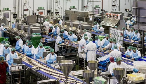 攜手佛山專業污水處理廠家，為食品廠定制高效化污水凈化工程方案，協同霧炮車構建全方位環保屏障